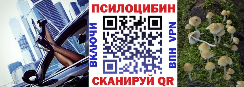 купить наркоту  Щёкино  Галлюциногенные грибы GOLDEN TEACHER 
